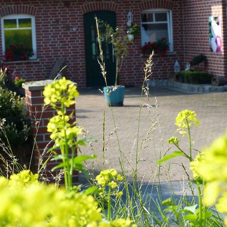 Fewo Emsland Emsbueren Ngoại thất bức ảnh
